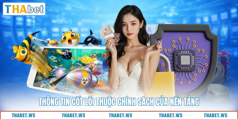 Thông tin cốt lõi thuộc chính sách của nền tảng