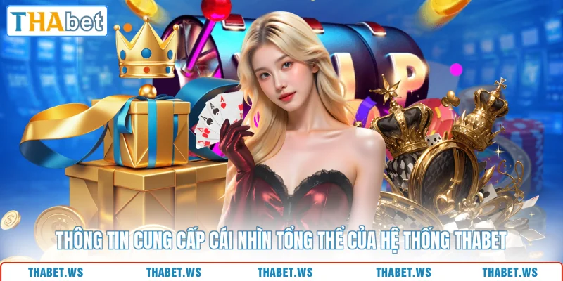 Thông tin cung cấp cái nhìn tổng thể của hệ thống THABET